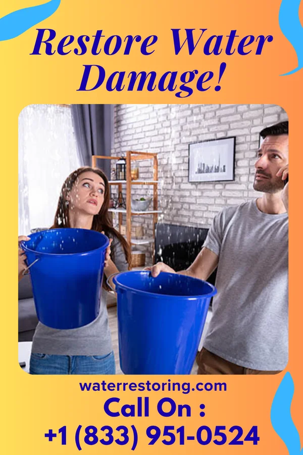 water restoration Precision Flood Cleanup Solutions Jonesville