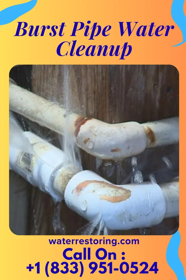 Burst Pipe Water Cleanup in Jonesville, NC