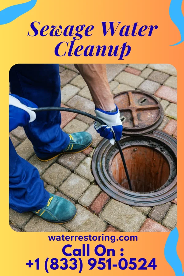 Sewage Water Cleanup in Jonesville, NC