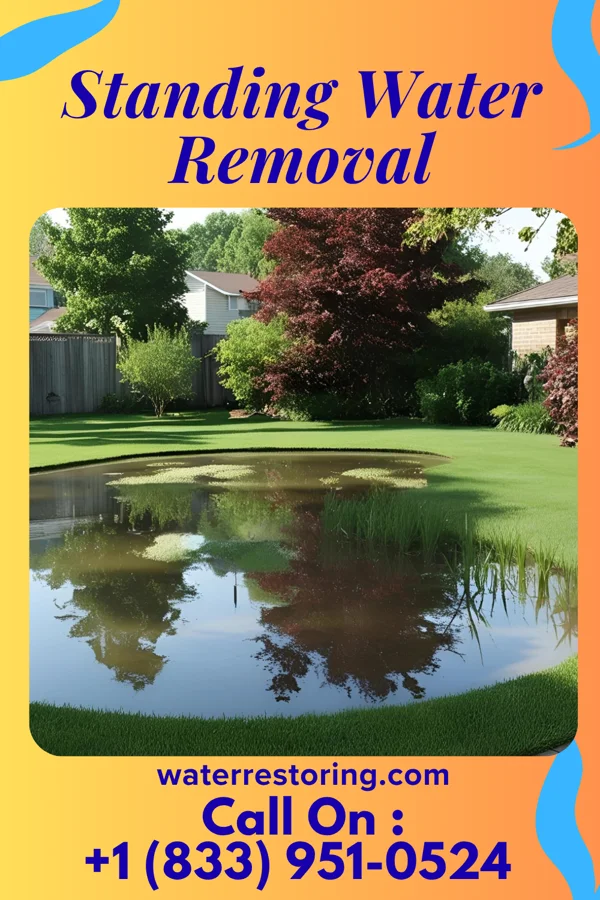 Standing Water Removal in Jonesville, NC